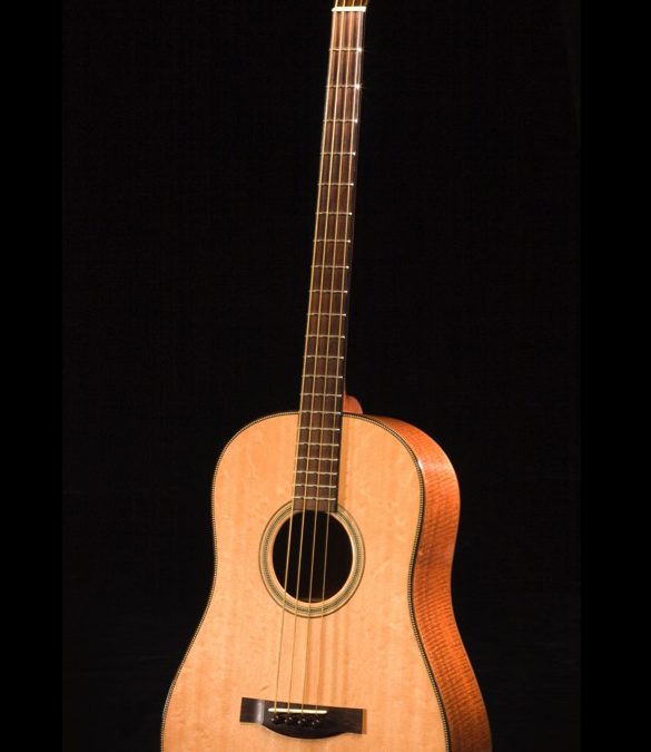 True Acoustic Bass
